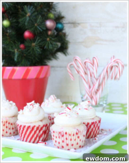 Festive Peppermint Cupcakes for Santa 1 featured 13864