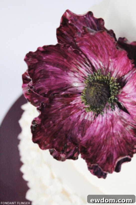 Amethyst Anemone Dream 1 featured 15758