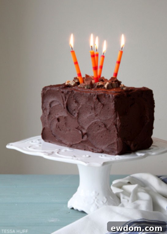 Ultimate Candy Bar Cake 1 featured 17244