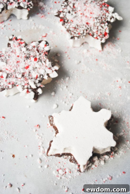 Pillowy Snowflake Delights 1 featured 18746