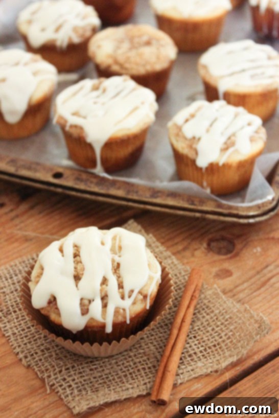 Cinnamon Swirl Delights 1 featured 20448