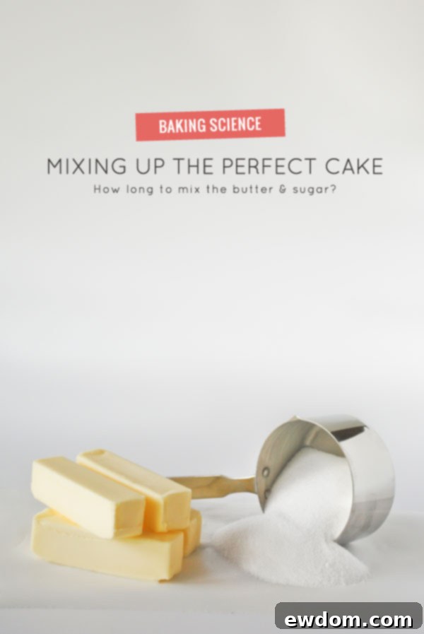 Unlocking the Perfect Cake 1 featured 21673