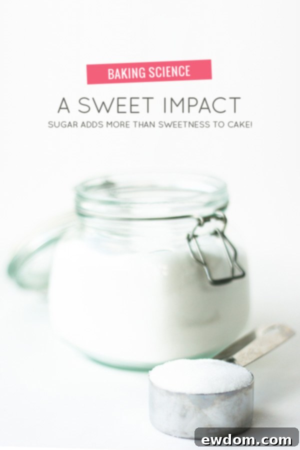 The Sweet Architect: How Sugar Builds Your Cake 1 featured 26281