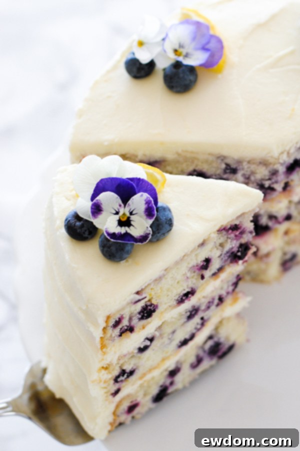 Lemon Blueberry Bliss 1 featured 26708