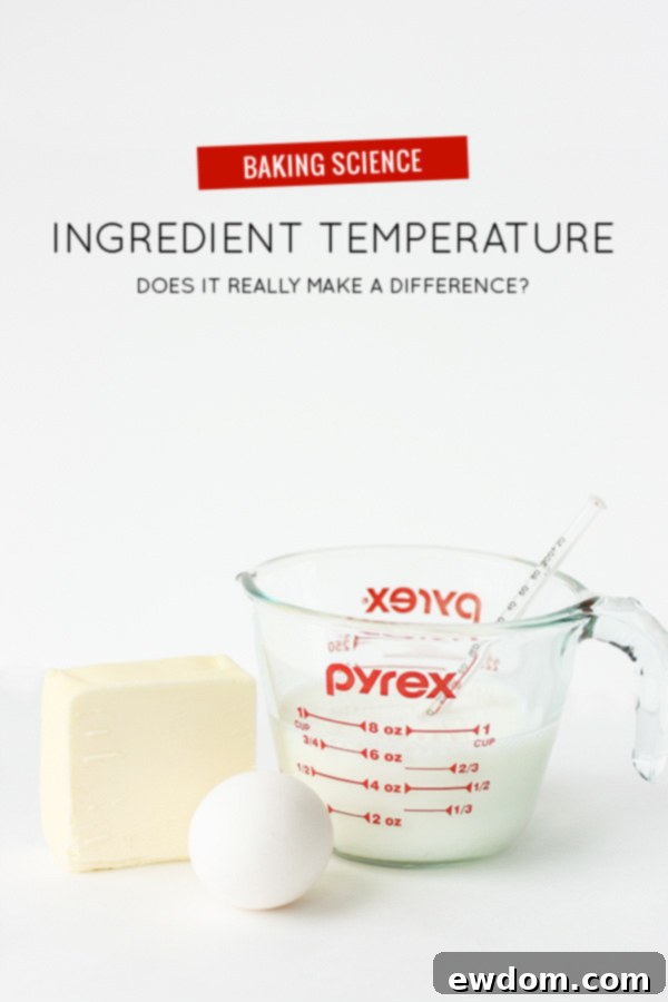 Why Ingredient Temperature Could Make or Break Your Dish 1 featured 26881