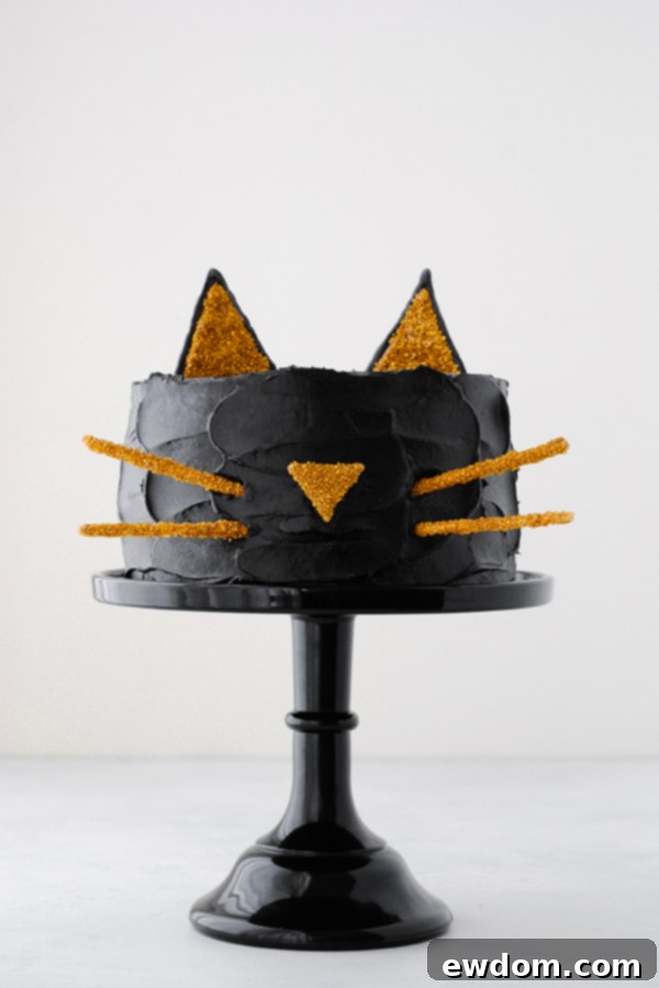 Purrfect Black Cat Cake 1 featured 27632