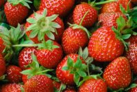 Sweet Strawberry Adventures