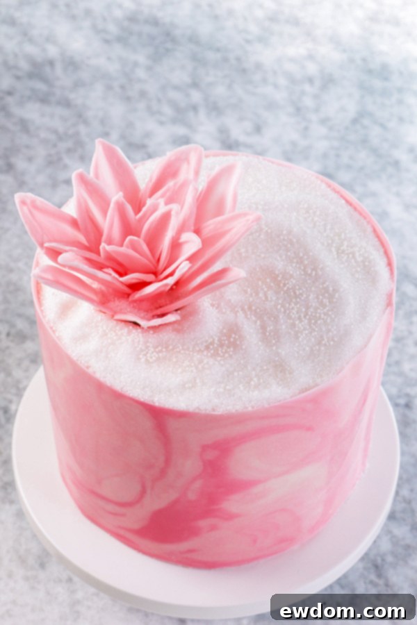 Zebra Chocolate Cake 1 featured 30480