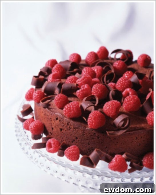 Chocolate Raspberry Bliss Cheesecake 1 featured 6264