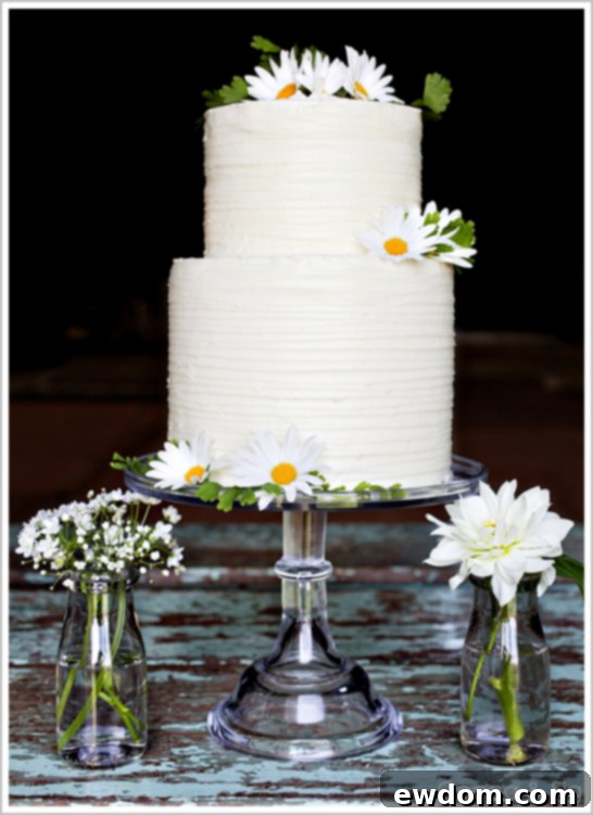 Sweet Trilogy Cake Trio Collection 1 featured 7624