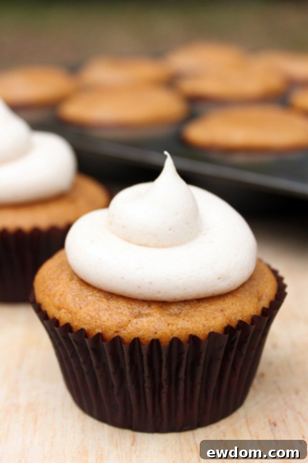 Spiced Pumpkin Delights 1 featured 7921