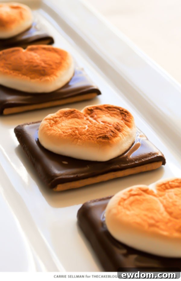Adorable Heart Shaped S'more Cookies for Valentine's Day, a quick and easy 3-ingredient dessert idea.
