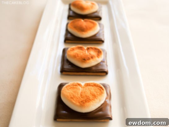 Close-up of Heart Shaped S'more Cookies with melted chocolate and golden marshmallows, ready for Valentine's.