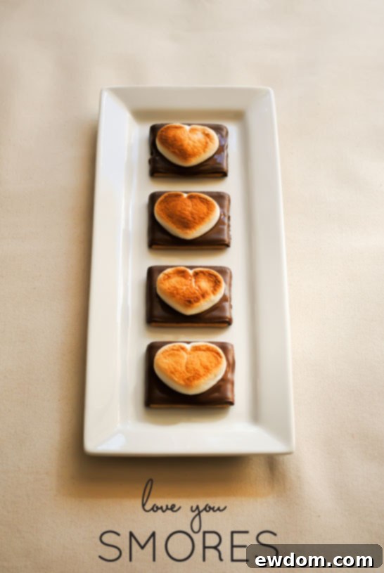 Heart Shaped S'more Cookies arranged on a serving plate, a delightful Valentine's Day dessert.