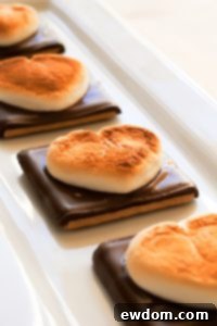 Heart Shaped S'more Cookies on a wire rack, a quick and delicious Valentine's Day treat.