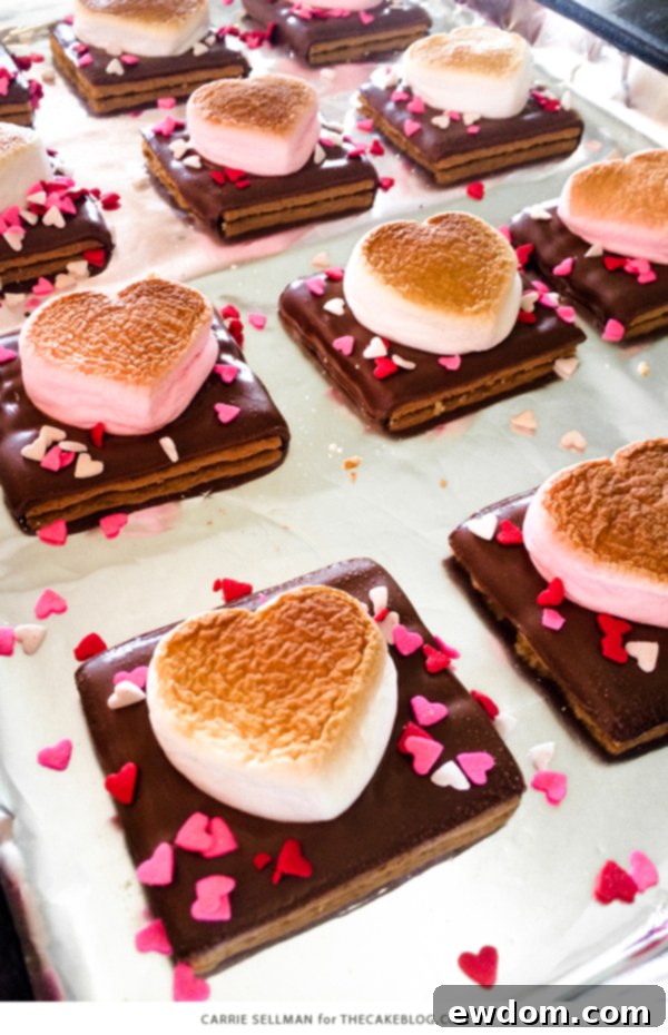 Pink Heart Shaped S'more Cookies with sprinkles, a delightful variation for Valentine's Day.