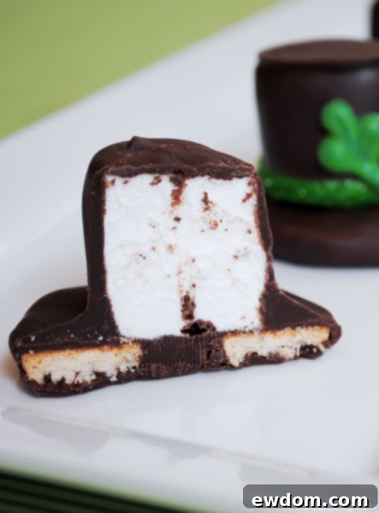 Leprechaun Hat S’mores - a festive St. Patrick’s day treat that the kids will love | Carrie Sellman for TheCakeBlog.com