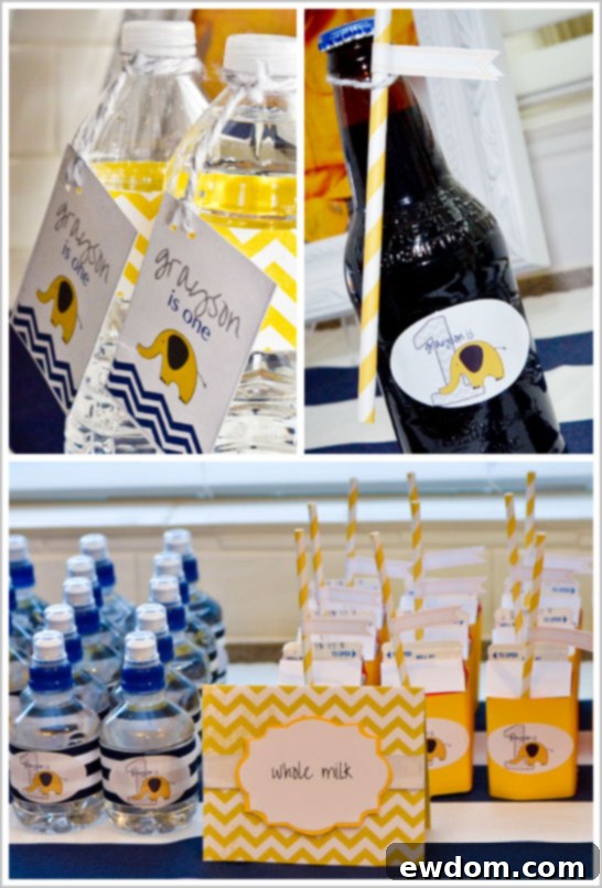 Chevron & Elephant First Birthday Party Mod Elephant Themed First Birthday Table Setting and Decorations