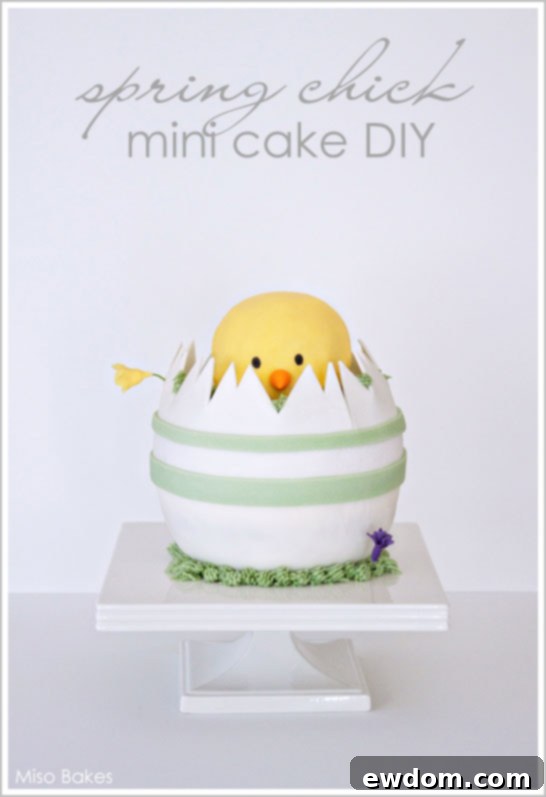 Spring Chick Mini Cake - Initial Cake Setup for Easter DIY