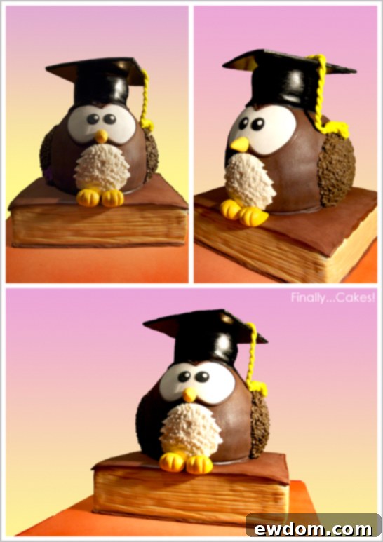Close-up of the Edible Owl Cake with Tassel
