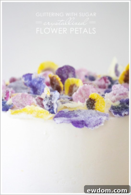 DIY: Glittering Sugar Coated Flowers - Whimsical Summer Inspiration DIY: Glittering Sugar Coated Flowers - Inspiration