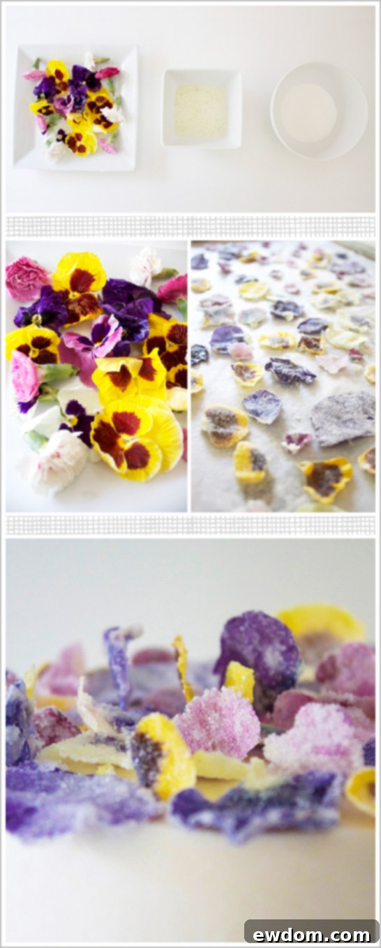 DIY: Glittering Sugar Coated Flowers - Before Crystallization DIY: Glittering Sugar Coated Flowers - Ready to be transformed