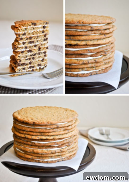 Close-up shot of the Chocolate Chip Cookie Layer Cake, showcasing the texture of the cookies and the rich buttercream filling between layers.