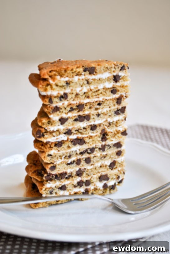 A generous slice of Chocolate Chip Cookie Layer Cake on a plate, ready to be enjoyed with a glass of milk.