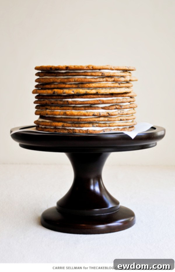 A top-down view of the stunning Chocolate Chip Cookie Layer Cake, showing off its perfect round layers and creamy white frosting.