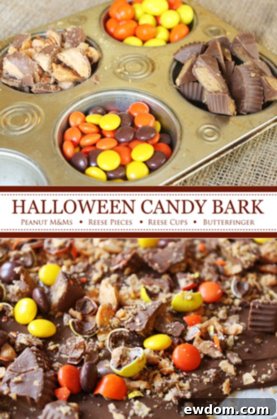 Halloween Candy Cupcakes  | by Lauren Kapeluck  |  TheCakeBlog.com