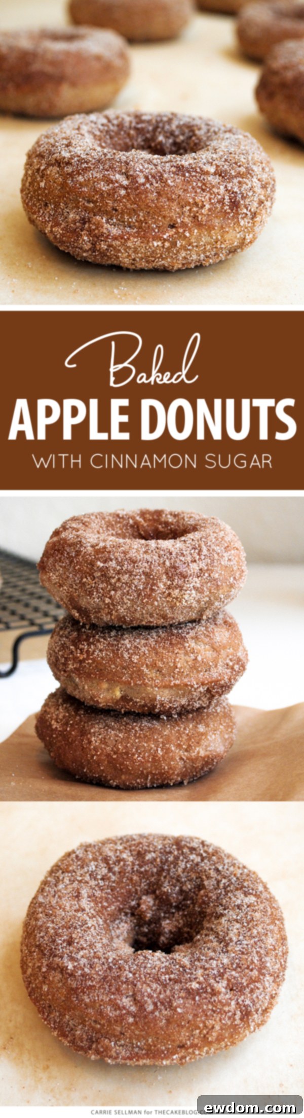 Cinnamon Baked Apple Donuts 2 Baked Apple Donut Recipe | TheCakeBlog.com