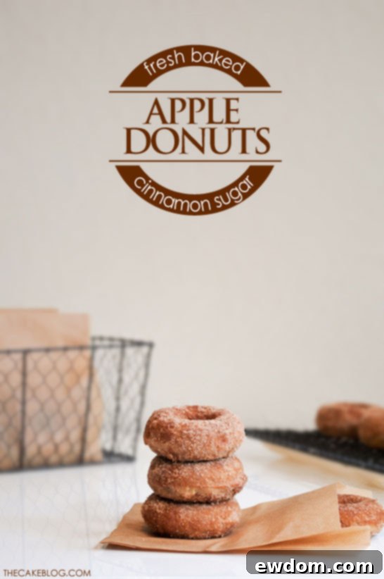 Cinnamon Baked Apple Donuts 3 Baked Apple Donut Recipe | TheCakeBlog.com