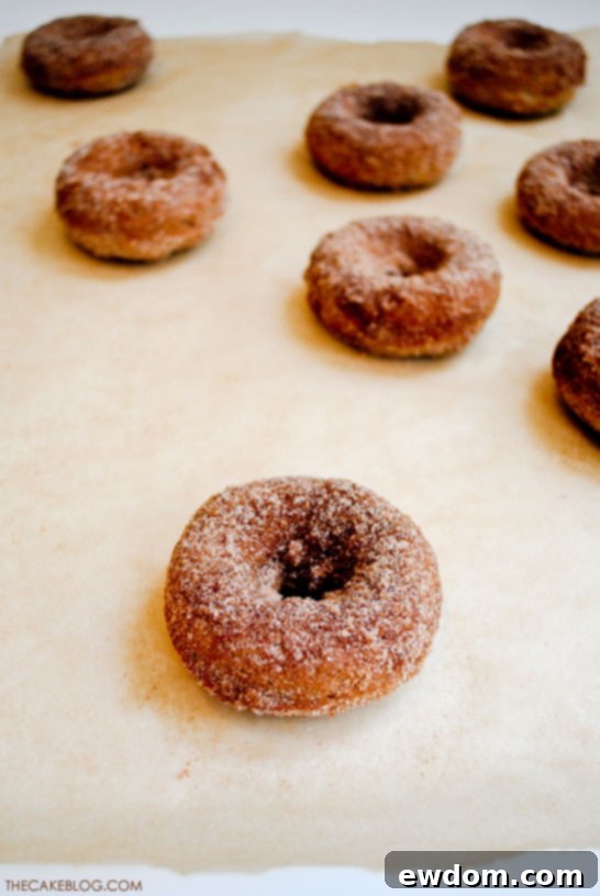 Cinnamon Baked Apple Donuts 4 Baked Apple Donut Recipe | TheCakeBlog.com