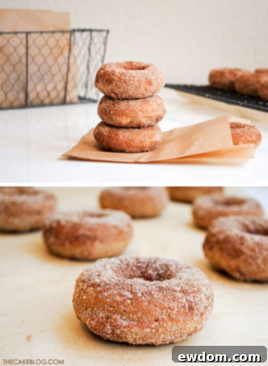 Cinnamon Baked Apple Donuts 5 Baked Apple Donut Recipe | TheCakeBlog.com