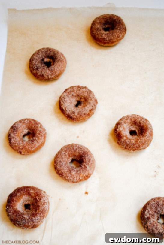 Cinnamon Baked Apple Donuts 6 img 12896 5