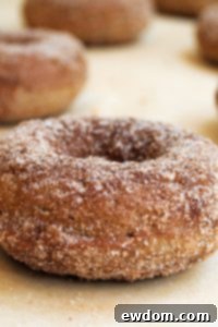 Cinnamon Baked Apple Donuts 7 Baked Apple Donuts