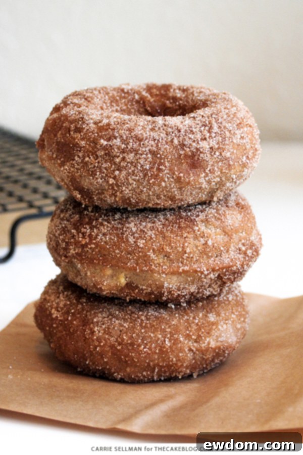 Cinnamon Baked Apple Donuts 8 Baked Apple Donut Recipe | TheCakeBlog.com