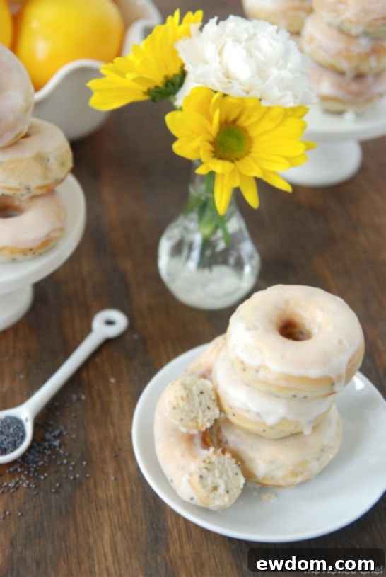 Lemon Poppyseed Mini Donuts - A delightful citrus and poppy seed treat for breakfast or dessert, perfect for sharing.