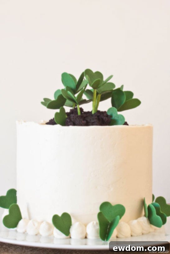 Sweet Lucky Clover Cake 4 Festive St. Patrick's Day Cake with Homemade Clover Decorations