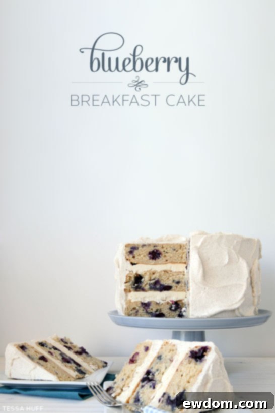 Blueberry Breakfast Cake by Tessa Huff  |  TheCakeBlog.com