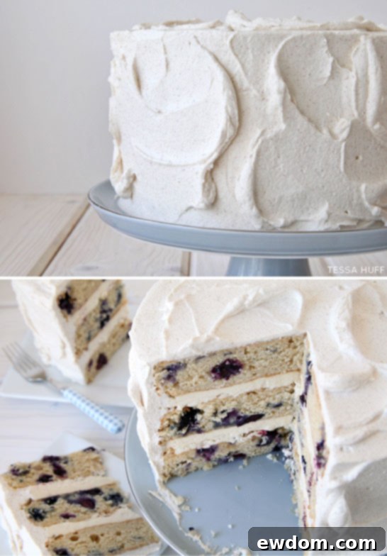 Blueberry Breakfast Cake by Tessa Huff  |  TheCakeBlog.com3