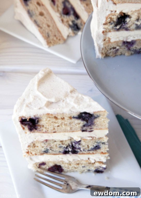 Blueberry Breakfast Cake by Tessa Huff  |  TheCakeBlog.com