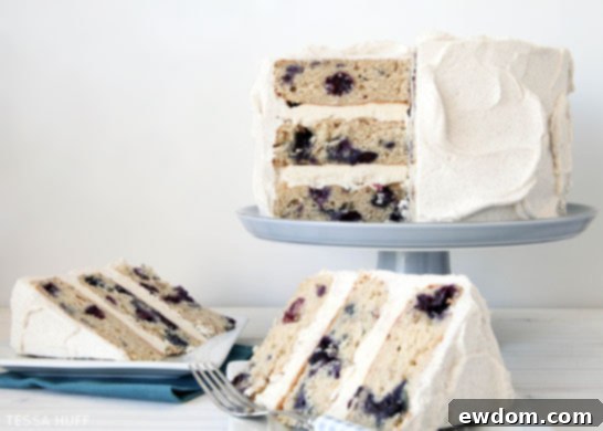 Blueberry Breakfast Cake by Tessa Huff  |  TheCakeBlog.com