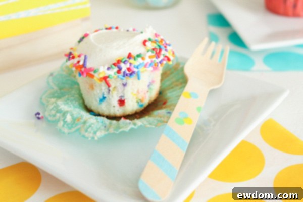 Vibrant Funfetti Cupcakes 2 Easy Homemade Funfetti Cupcakes with Vanilla Buttercream Frosting