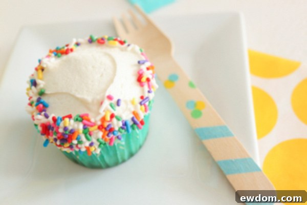 Vibrant Funfetti Cupcakes 6 Simple Funfetti Cupcake Decoration with Sprinkles