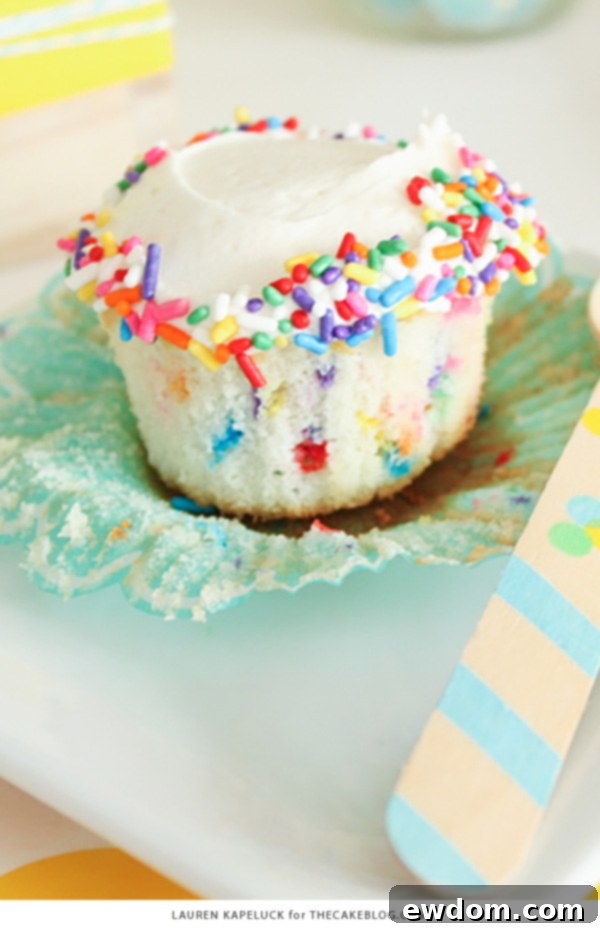 Vibrant Funfetti Cupcakes 9 Closeup of Homemade Funfetti Cupcakes