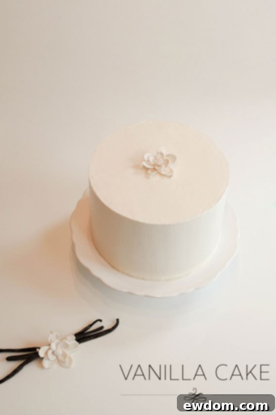 Classic Vanilla Cake Layers Ready to be Frosted