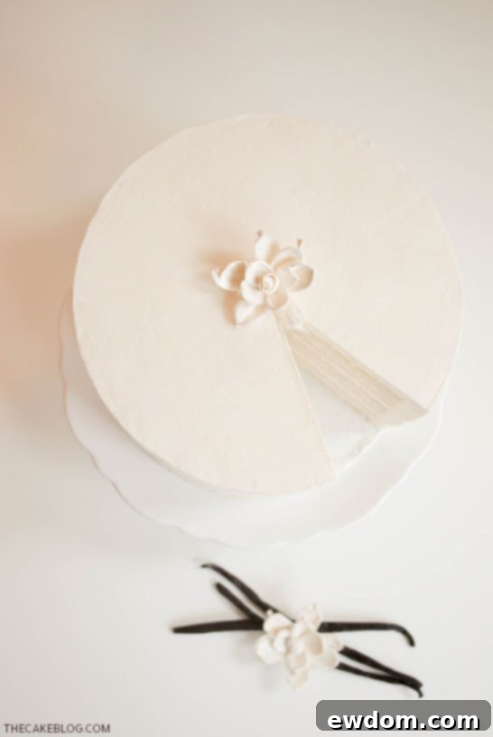 Perfectly Frosted Vanilla Layer Cake with Smooth Swiss Meringue Buttercream