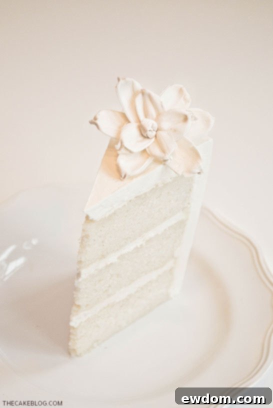 A Perfect Slice of Classic Vanilla Cake with Frosting