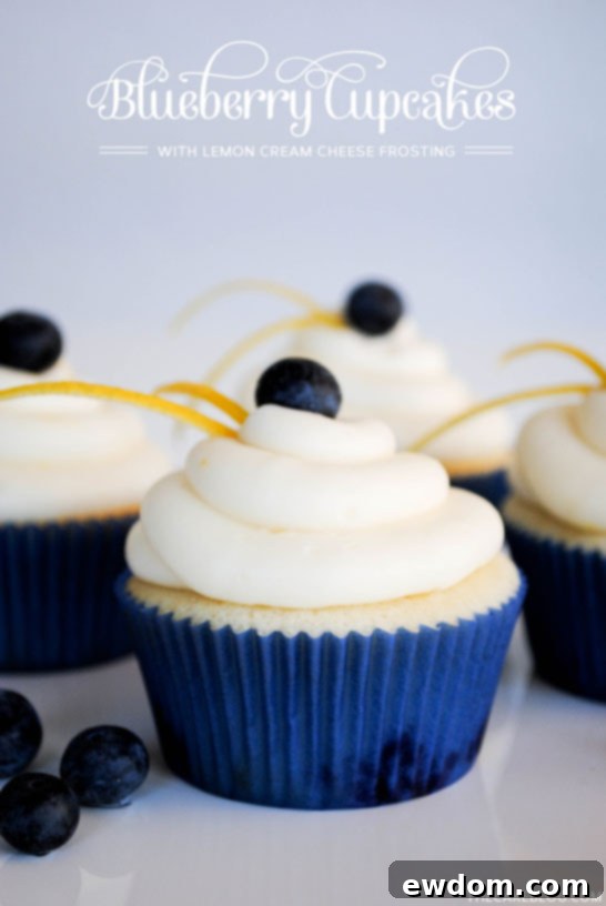 Beautiful Lemon Blueberry Cupcakes topped with creamy lemon frosting and fresh blueberries, ready to be enjoyed.